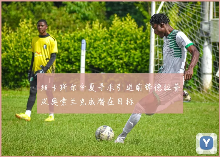纽卡斯尔今夏寻求引进前锋德拉普皮奥索兰克成潜在目标